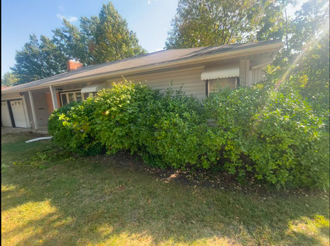 Bush trimming Topeka, Kansas