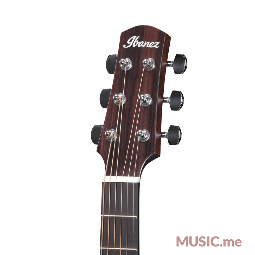 ภาพขนาดย่อ: Ibanez AAD100E