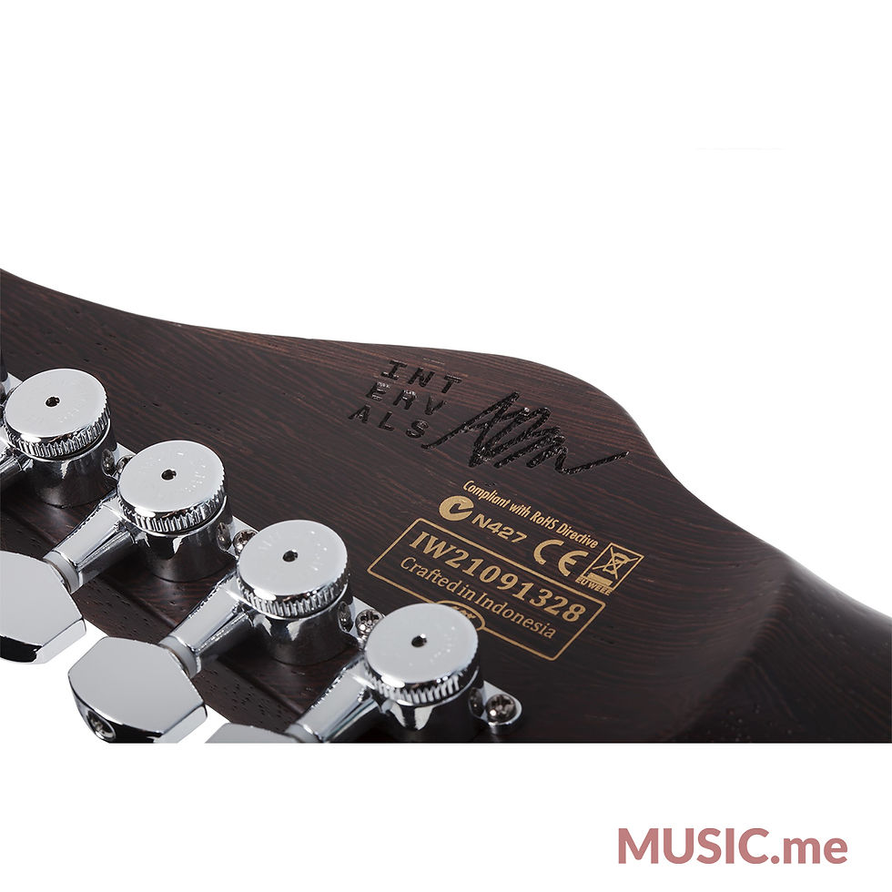 Thumbnail: Schecter Aaron Marshall AM-6