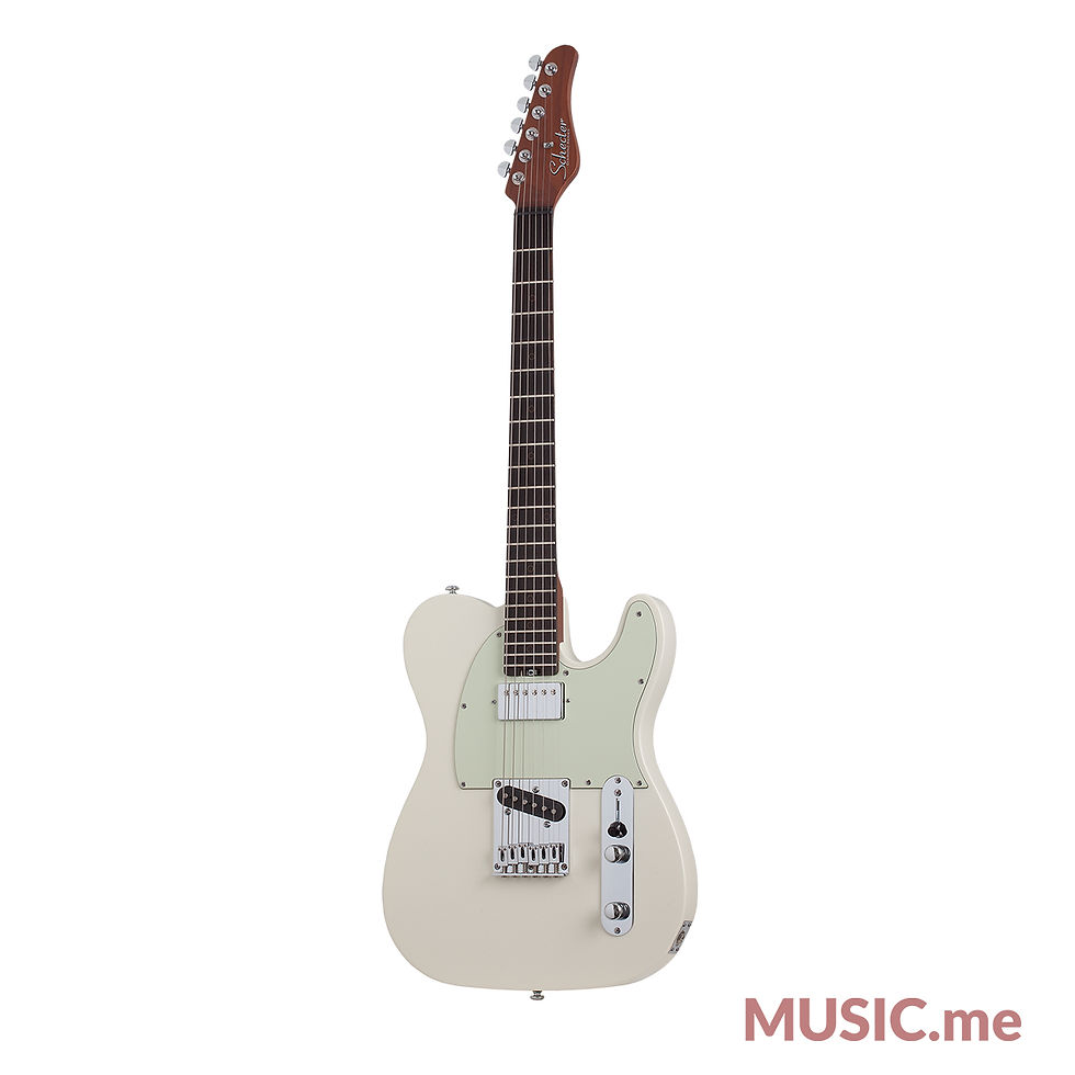 ภาพขนาดย่อ: Schecter Nick Johnston PT