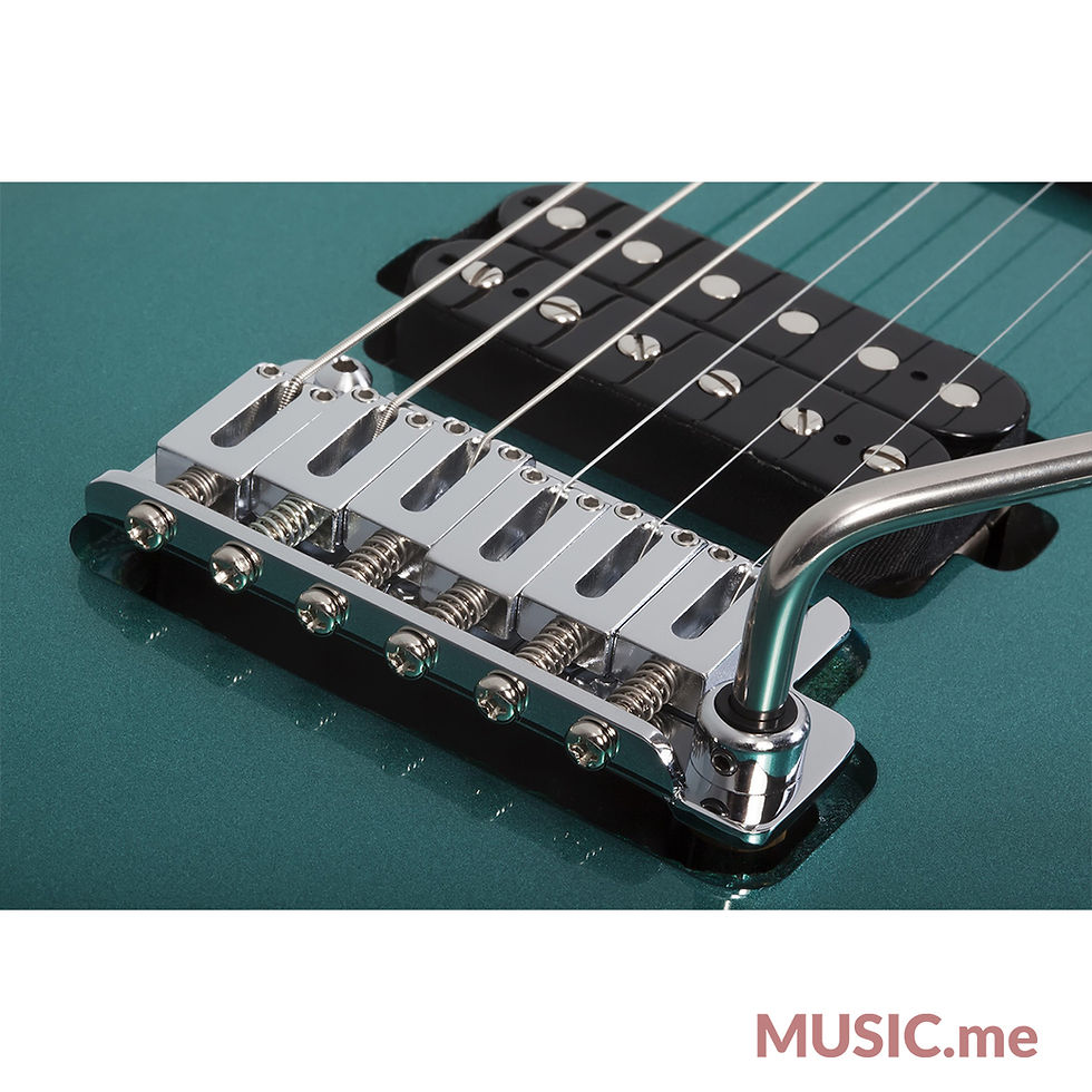 ภาพขนาดย่อ: Schecter Aaron Marshall AM-6