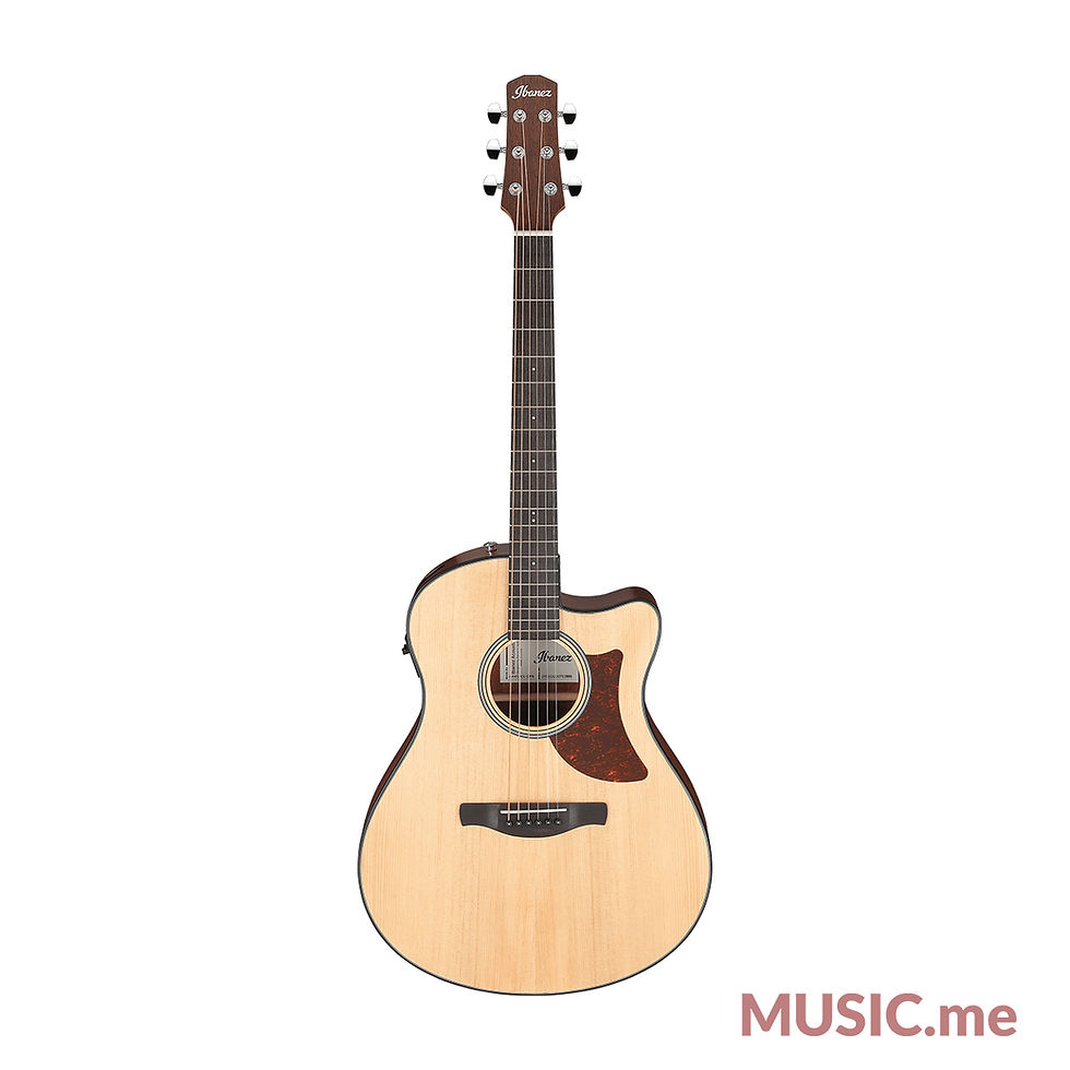 Ibanez AAM50CE