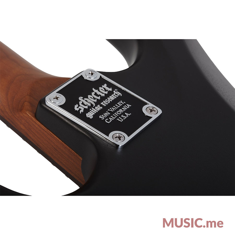 ภาพขนาดย่อ: Schecter Jack Fowler Traditional