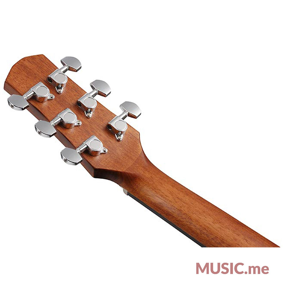 ภาพขนาดย่อ: Ibanez AAD50