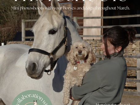 Are you photoshoot ready?