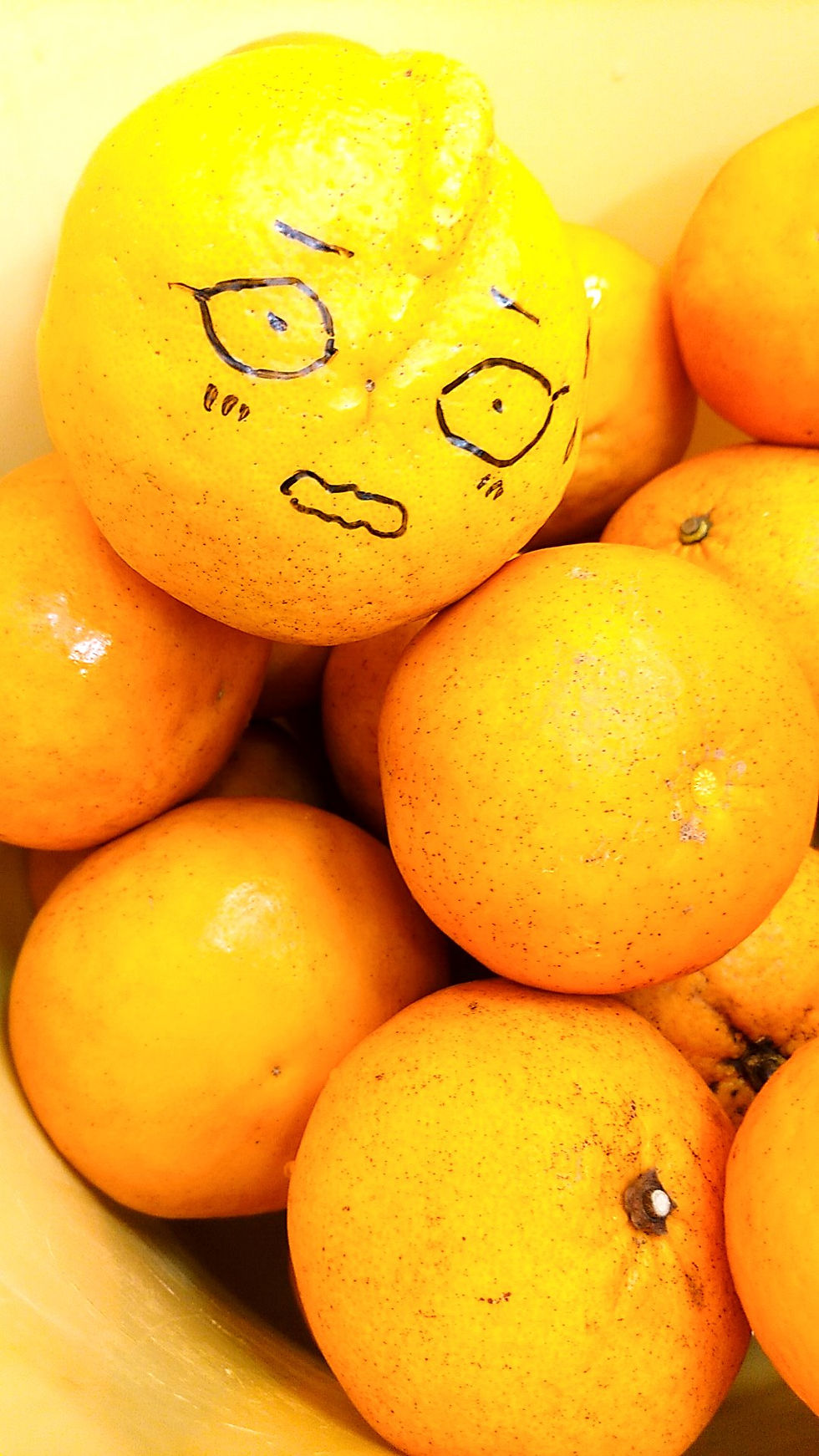 甘夏みかんの中にウルトラマン？