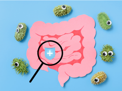 gut bugs around gut