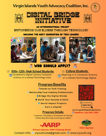 Flyer - Digital Bridge Initiative (Flyers (Portrait)).png