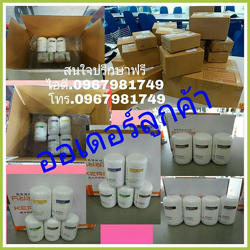 รููปเซอร์นิติน1.jpg