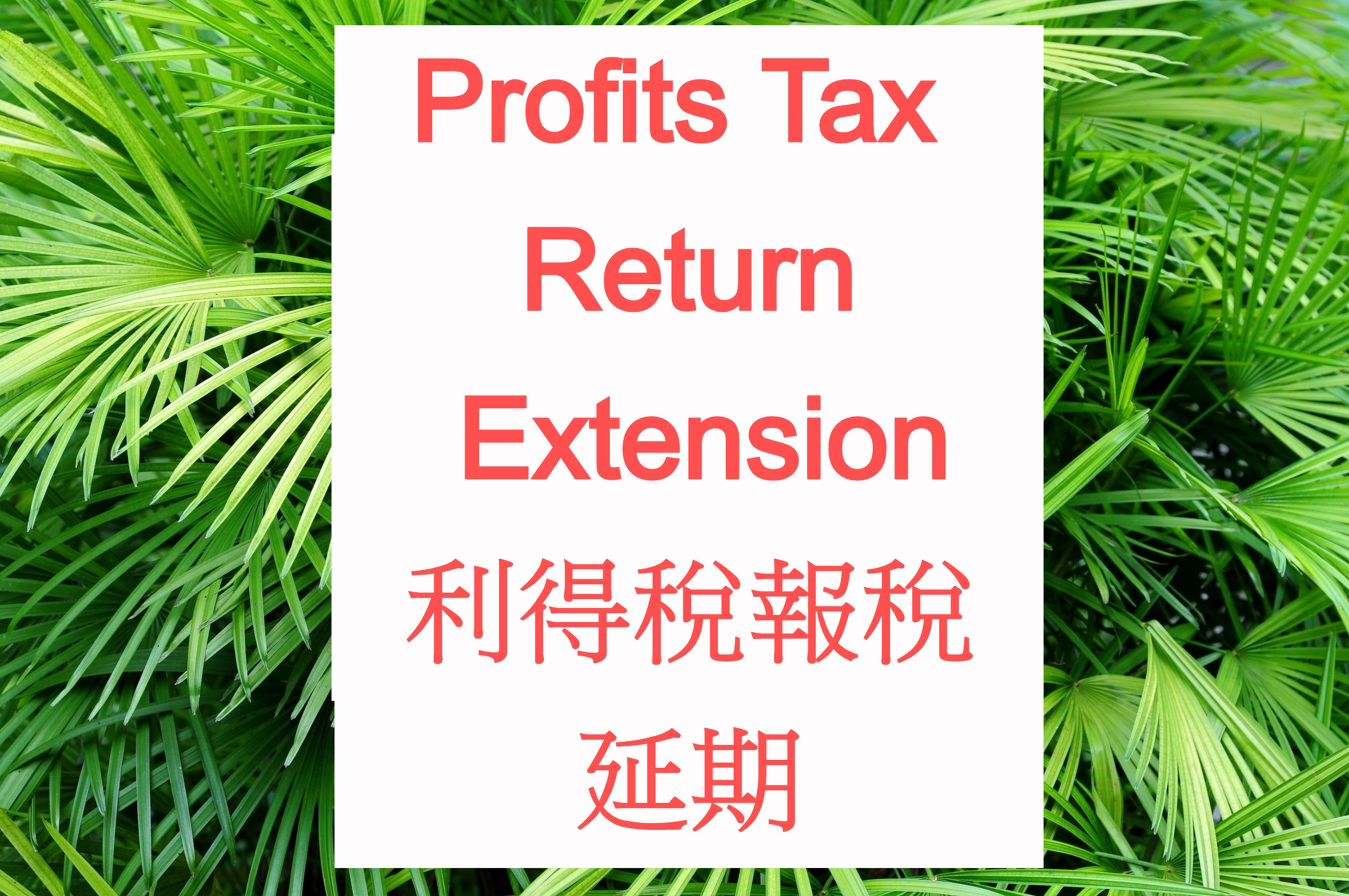 Profits Tax Return Extension 利得稅報稅延期