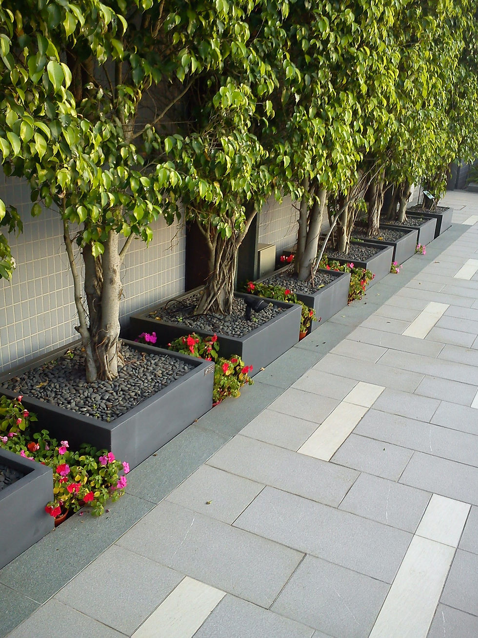 Outdoor Solar Panel & Lighting