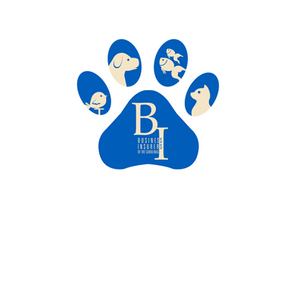 Laura Anderson, CPDT-KA 