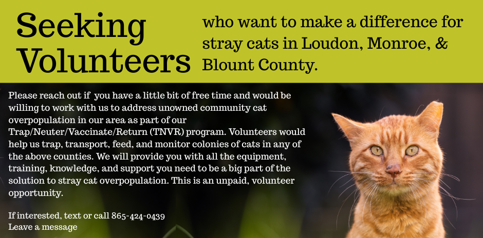 Copy of Seeking Volunteers.png