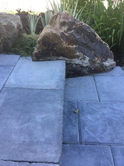 119036413_703237900279017_68857826479567