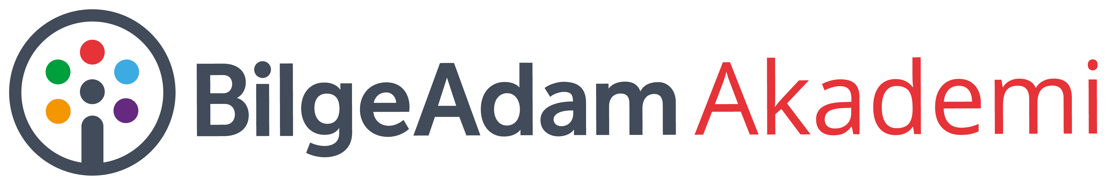 akademilogo-yatay-01.webp
