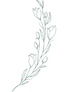 Mareike - Website Icons (Flower).png