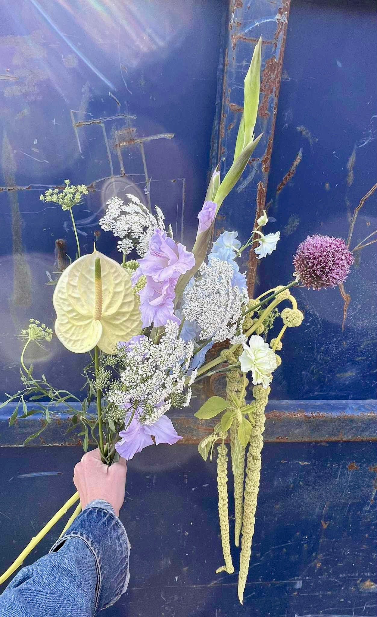 Velkommen til verden