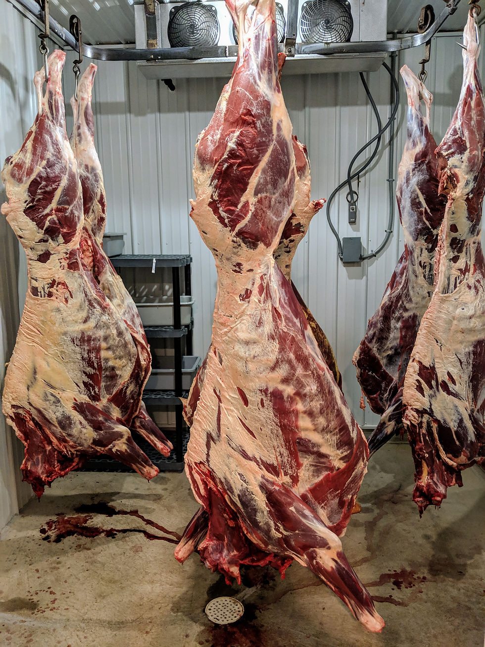 The carcass weight, or hanging weight, includes bones and inedible tissue, as well as water weight which is lost during the cooling process.