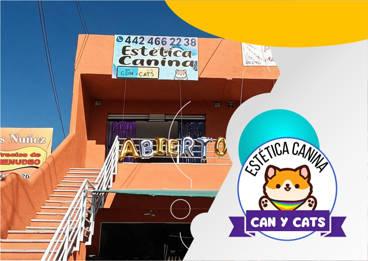 Galería Can y Cats En Tu Zona 2.png
