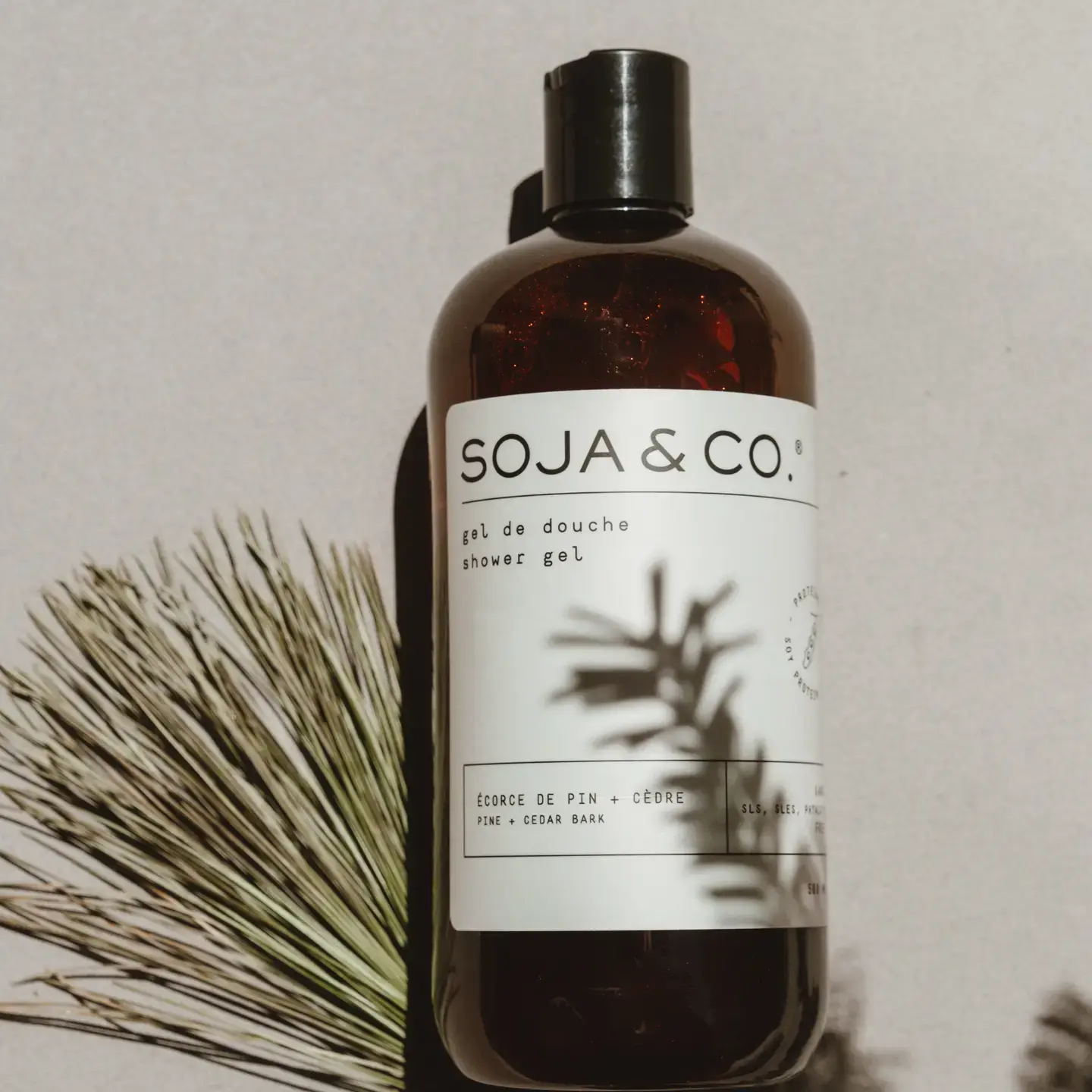 Shower Gel | Pine + Cedar Bark