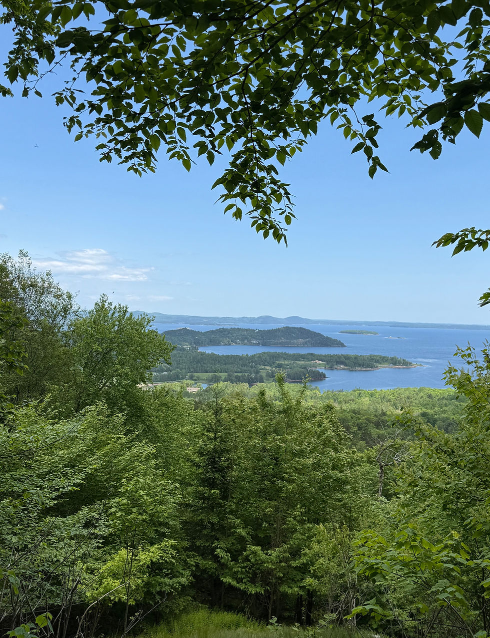 One of the breathtaking views on the way up Chamcook Mountain. See Saint Andrews from a distance all the way down to Maine's coastline! MTM TIP: On the way to Rossmount, pass by for some charcuterie meats, cheese, crackers, fruit, & your beverage of choice. There's a great landing up top with picnic tables or places to sit to enjoy your treat overlooking Saint Andrews, NB and Passamaquoddy Bay.