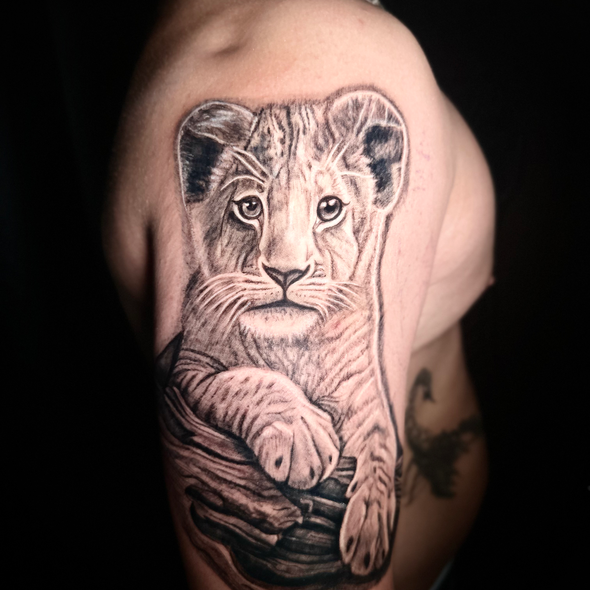 tattoo tattoostyle tattoowolfsbug 
wolfsburg
wolfsburgtattoo
braunschweig
tattoobraunschweig
braunschweigtattoo
gifhorn 
gifhorntattoo 
helmstedt
helmstedttattoo
peine 
peinetattoo 
hildesheim 
hildesheimtattoo 
hannover 
tattoohannover 
hannovertattoo 
fanartratto  magdeburg magdeburgtattoo
originaldesign 
löwenjungestattoo löwettoo greywash
newtattoo 
tattoolifе 
tattooink 
inkedlife 
petrovaartworks petrova_tattoo_