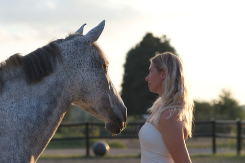 Pferdefotografie einer Reiterin mit ihrem Pferd in der Abendsonne bei Dasing.