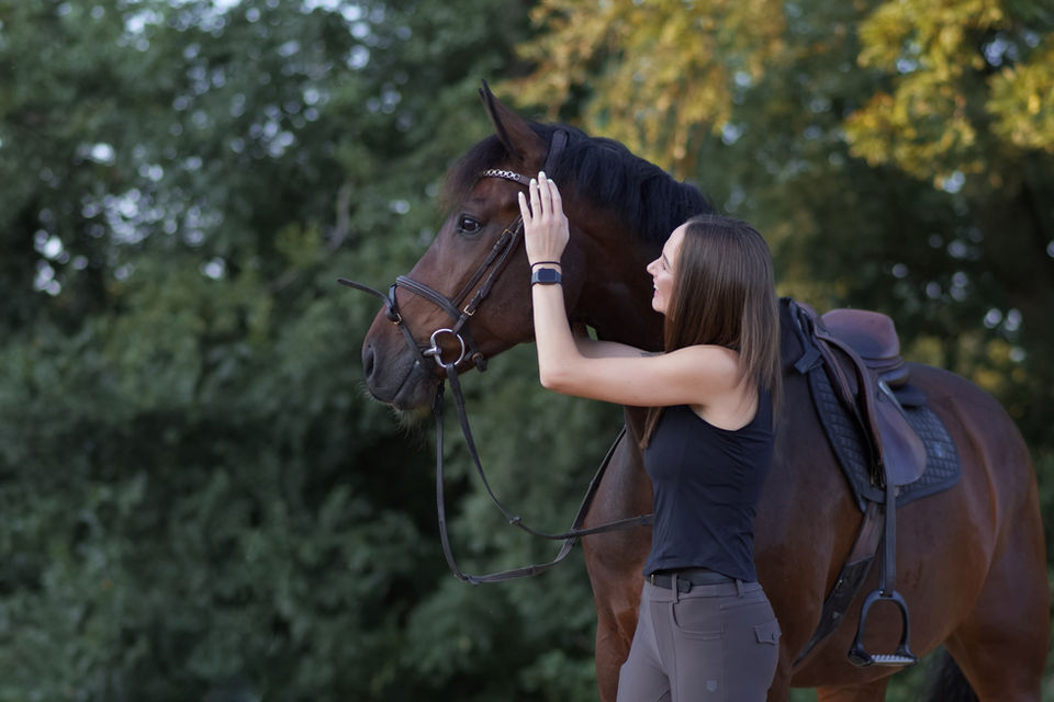 Foto eines braunen Pferdes mit Reiterin im Sonnenunterang in Kissing.