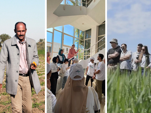 Composite image of a farmer walking in his field, a group of Egyptian university students following a guided visit and a group of farmers in a technical field visit in Argentina.