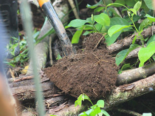 Why implement regenerative agriculture practices to promote soil health and sequester carbon