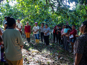 From the Amazon to the Atlas Mountains: SAN Members Drive Sustainable Agriculture Forward