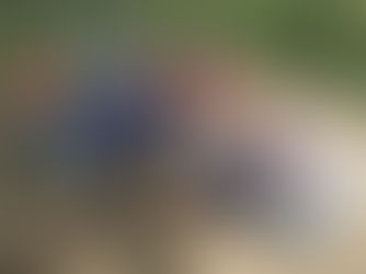 SAN’s Approach: Transforming Agriculture through Radical Collaboration