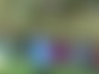 Agriculture in Action: Pest-Savvy Farms, Regenerative Momentum, and Stronger Regional Governance (Feb 2–8, 2026)