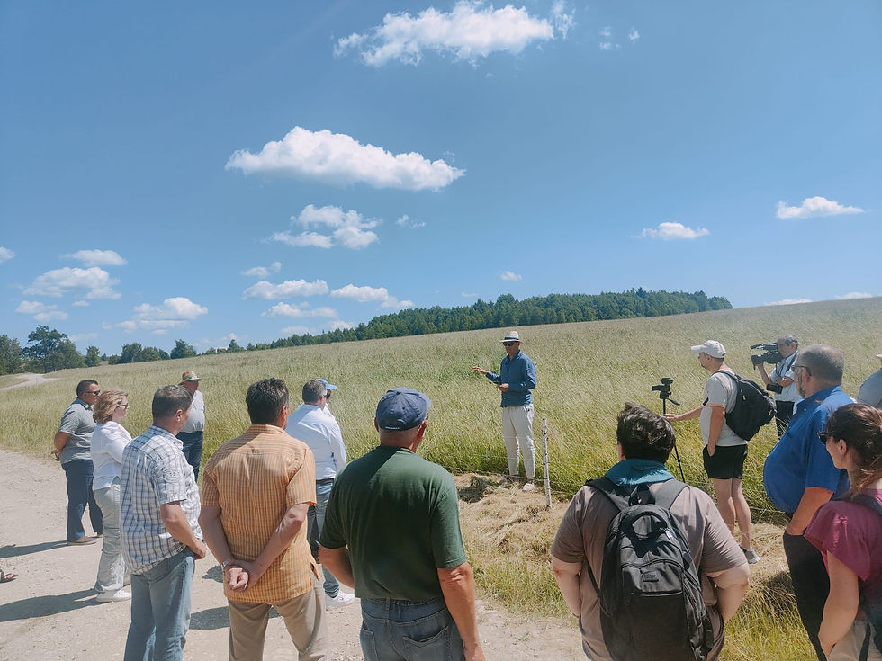 As part of the Farmbionet project launch, a field visit was conducted to KongoFarm in Merești, an excellent example of sustainable farming practices, such as rehabilitation of degraded grasslands natural feeding of animals and preserving traditional breeds.