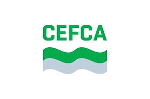 Centre d' Etudes, Formation, Conseils et Audits (CEFCA)