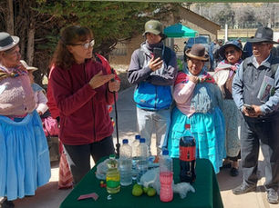 People in indigenous Peruvian garb participate in pest control demonstration with common ingredients.