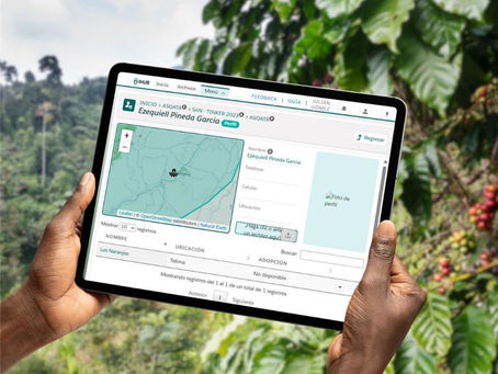 iHub visualization held on a tablet in the field
