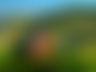 We’re Hiring: Director, Corporate Engagement