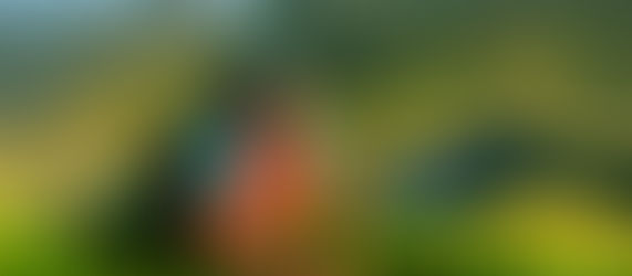 We’re Hiring: Director, Corporate Engagement