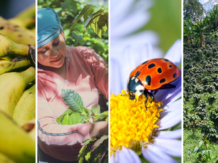 🌱 Agriculture in Action: The Latest from Our SAN Network