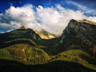 Lessons from 15 Years of Forest Management, Agribusiness, and Restoration on Our Latest AgroTalk