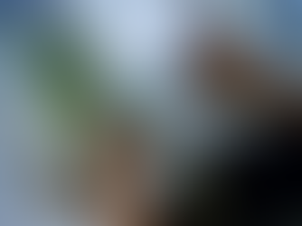 Plantwise: How plant clinics are saving crops around the globe