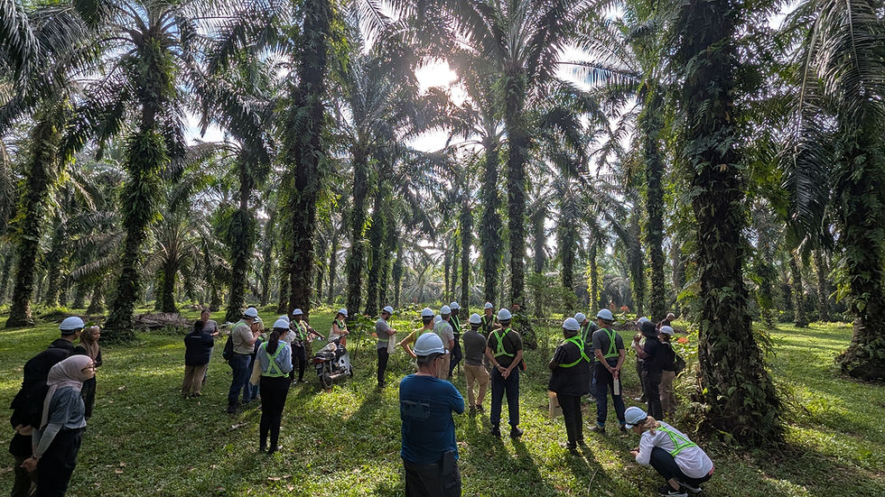 SAN Malaysia Palm Oil Hero Picture.jpg