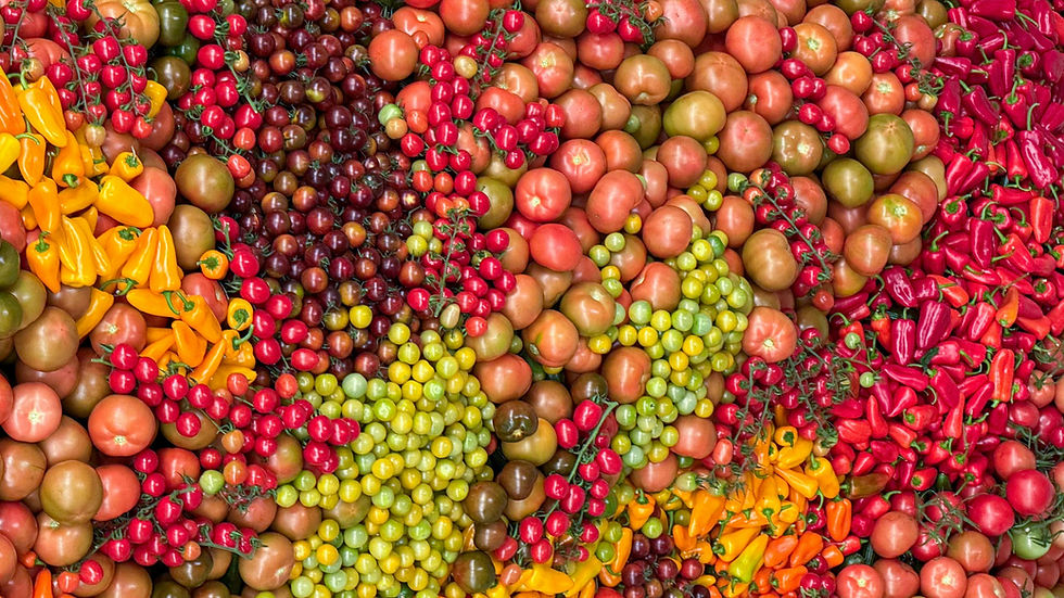 Decorative arrangement of tomatoes and chillies. Photo by Anthony Rahayel on Pexels.
