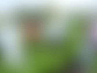 Group of men gathered around a pole with a yellow tag in the middle of a turmeric field.