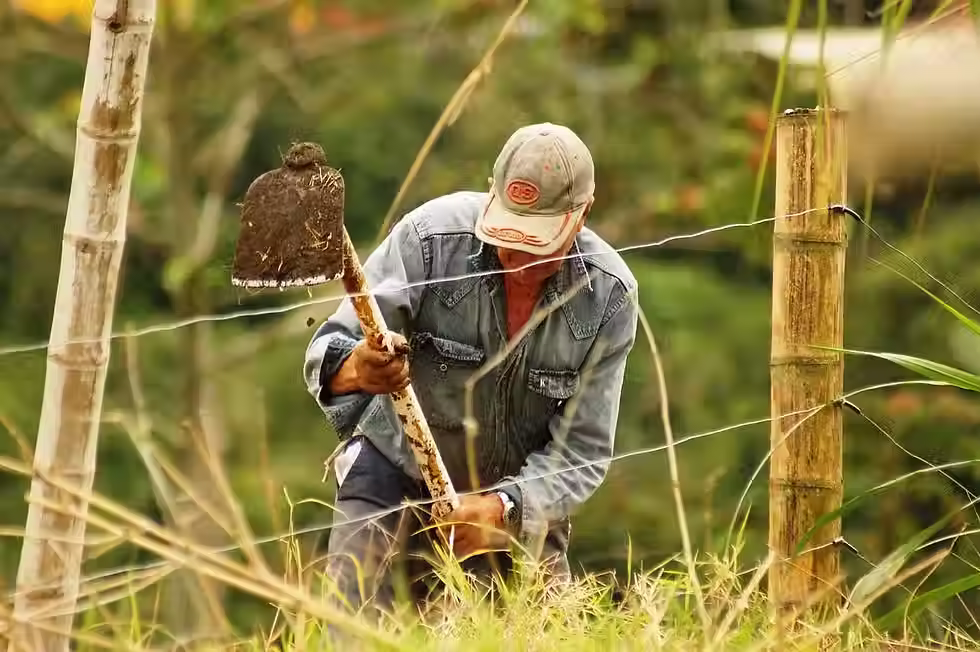 Farmer working on the field