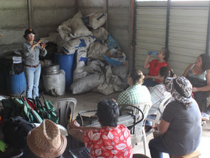 Empowering Women, Enriching the Earth: Inspiring Environmental Sustainability through Inclusion