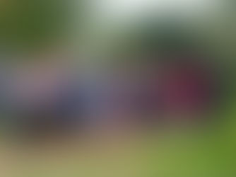 Agriculture in Action: SAN Members Drive Change from the Field to the Global Stage