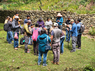 A group of people standing on a field in huddle formation