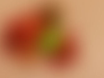 Differently sized and colored tomatoes over neutral background